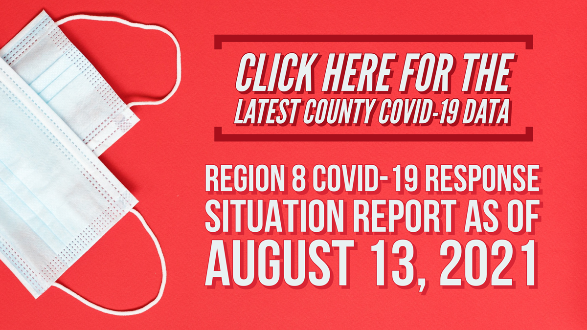 TDHS SITUATION REPORT 8/13/2021